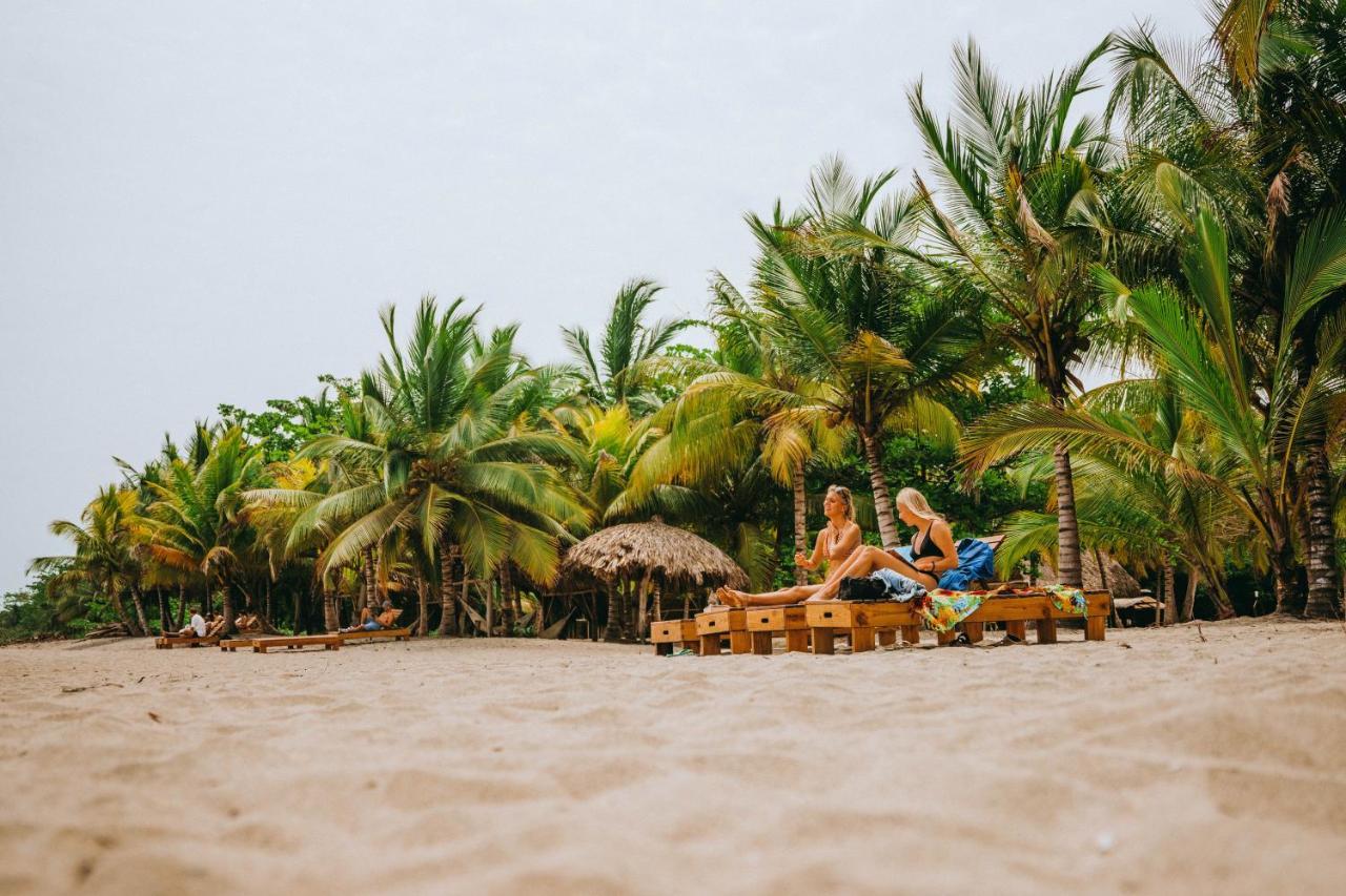 Hostal Viajero Tayrona Hostel&ecohabs